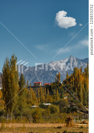 The autumn scenery with Hindu Kush mountain range in the background is very beautiful, Gahkuch,northern Pakistan. 128833252