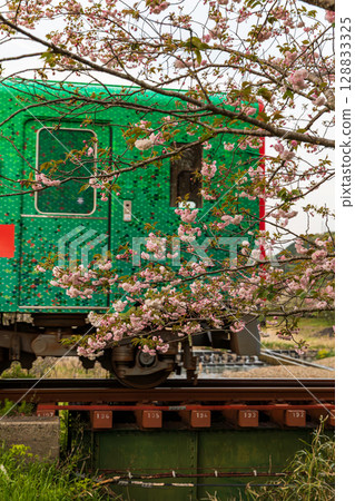Hatakama, Kakegawa City, Shizuoka Prefecture Tenryu Hamanako Railway and scenery along the line 128833325