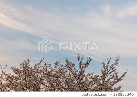 Hatakama, Kakegawa City, Shizuoka Prefecture Tenryu Hamanako Railway and scenery along the line 128833340