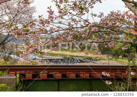 Hatakama, Kakegawa City, Shizuoka Prefecture Tenryu Hamanako Railway and scenery along the line Hatakama, Kakegawa City, Shizuoka Prefecture Tenryu Hamanako Railway and scenery along the line 128833350