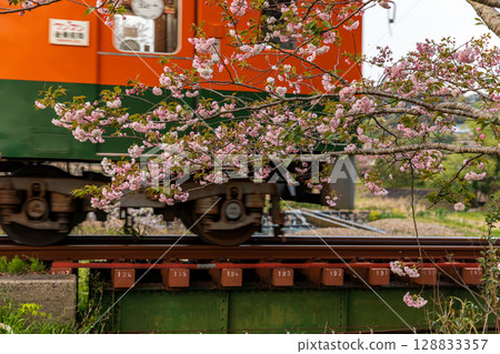 Hatakama, Kakegawa City, Shizuoka Prefecture Tenryu Hamanako Railway and scenery along the line 128833357