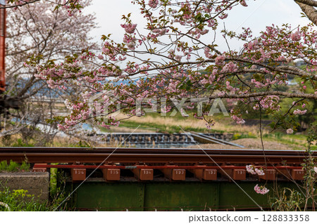 Hatakama, Kakegawa City, Shizuoka Prefecture Tenryu Hamanako Railway and scenery along the line 128833358