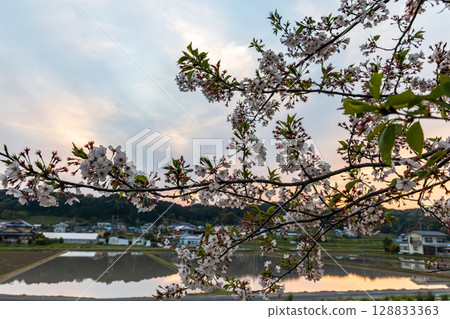 靜岡縣掛川市畑多摩天龍濱名湖鐵道及沿線風景 靜岡縣掛川市畑多摩天龍濱名湖鐵道及沿線風景 128833363