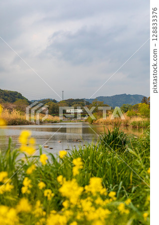 靜岡縣掛川市畑多摩天龍濱名湖鐵道及沿線風景 靜岡縣掛川市畑多摩天龍濱名湖鐵道及沿線風景 128833376