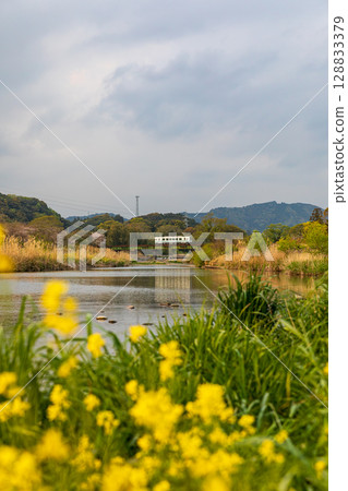 靜岡縣掛川市畑多摩天龍濱名湖鐵道及沿線風景 128833379