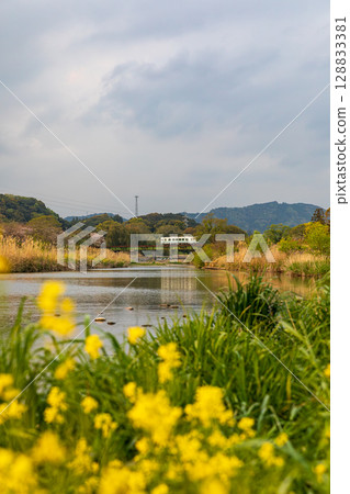 Hatakama, Kakegawa City, Shizuoka Prefecture Tenryu Hamanako Railway and scenery along the line 128833381