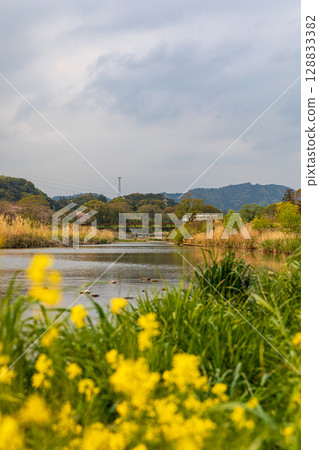 靜岡縣掛川市畑多摩天龍濱名湖鐵道及沿線風景 靜岡縣掛川市畑多摩天龍濱名湖鐵道及沿線風景 128833382