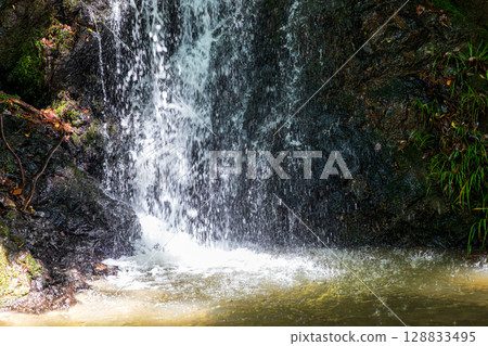 靜岡縣週知郡森町梶島:山村風景 靜岡縣週知郡森町梶島:山村風景 128833495