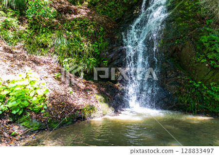 靜岡縣週知郡森町梶島:山村風景 靜岡縣週知郡森町梶島:山村風景 128833497