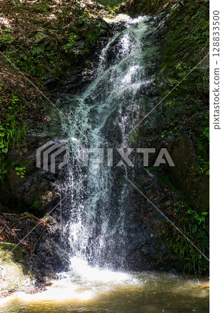 Kajishima, Morimachi, Shuchi District, Shizuoka Prefecture: Mountain village scenery Kajishima, Morimachi, Shuchi District, Shizuoka Prefecture: Mountain village scenery 128833500
