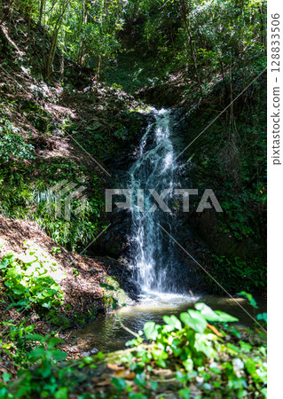 靜岡縣週知郡森町梶島:山村風景 靜岡縣週知郡森町梶島:山村風景 128833506