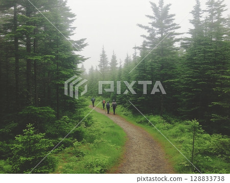 A photorealistic image of a group of friends hiking through a lush green forest 128833738