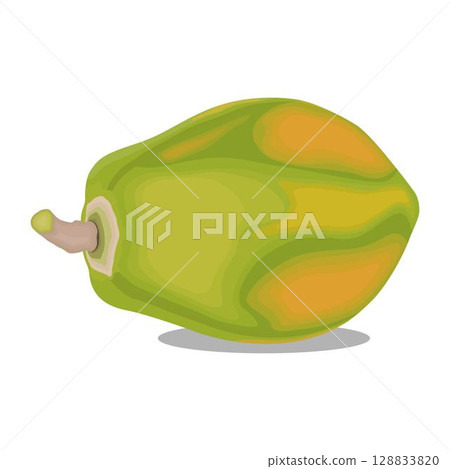 Vector illustration of whole papaya in cartoon flat style. Exotic ripe tropical fruit Carica papaya, healthy for diet on a white background. Elements for graphic, logo, icon, menu, etc. 128833820