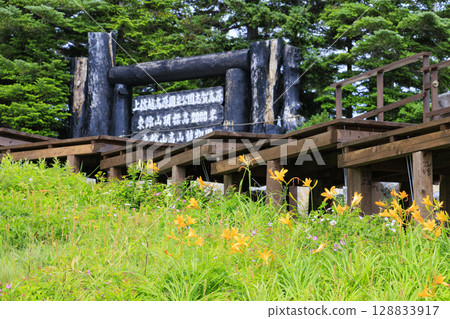 Day lilies in full bloom at Higashidateyama Alpine Garden 128833917