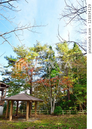 赤崎山森林公園的紅葉(新潟縣) 赤崎山森林公園的紅葉(新潟縣) 128834129