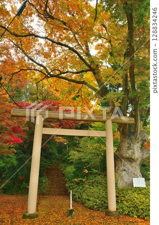 鴨長瀨神社(新潟縣) 鴨長瀨神社(新潟縣) 128834246