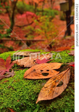 Autumn leaves in Momiji Valley, Yahiko Park (Niigata Prefecture) 128834422