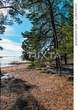 Typical Swedish Coastal Landscape in Early Spring. Typical Swedish Coastal Landscape in Early Spring. 128834516