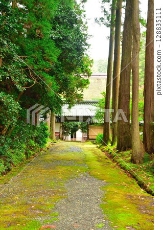 秋色的修月寺（新潟縣） 128835111