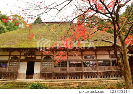 Shugetsuji Temple in autumn colors (Niigata Prefecture) 128835114
