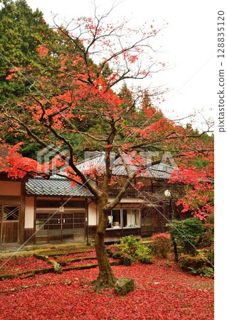 秋色的修月寺（新潟縣） 128835120
