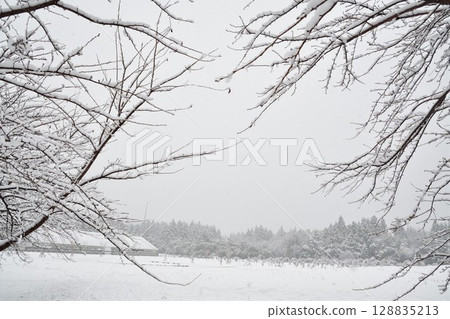 Snow scene in Agano City (Niigata Prefecture) Snow scene in Agano City (Niigata Prefecture) 128835213