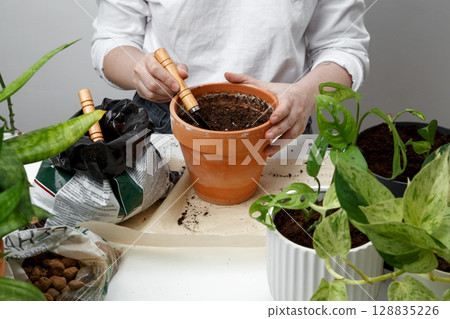 Woman repotting plant, performing indoor gardening and plant care at home. Plant rehabilitation Woman repotting plant, performing indoor gardening and plant care at home. Plant rehabilitation 128835226