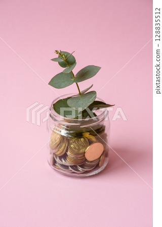 Coins and plant in a jar as a concept of savings and financial investment 128835512