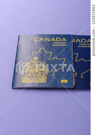 Canadian passport for travelling, flying and doing business. Canada document 128835662
