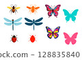 Colorful Insect Collection 128835840