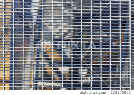 Geometric View of Metal Construction Platform and Window Grid on High Rise Building Exterior 128835902