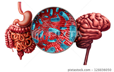 Sixth Sense In The Gut Sixth Sense In The Gut 128836050