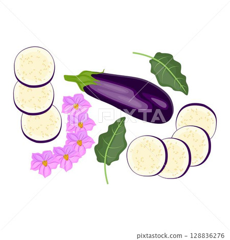 Vector illustration eggplant slice vegetable in cartoon flat style. Aubergine purple fresh, plant food, organic healthy, agriculture brinjal garden. Raw violet eggplant sliced in white background. 128836276