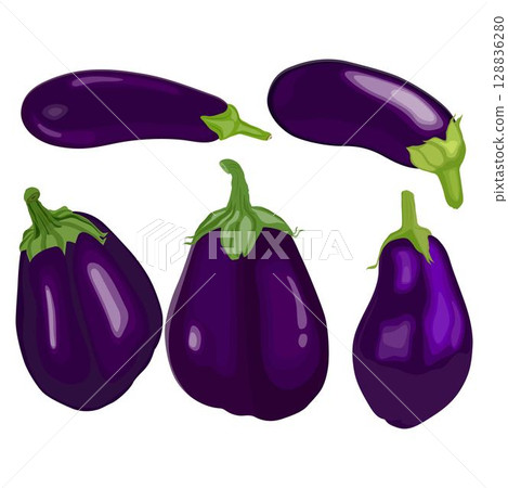 Vector illustration of set eggplants vegetable in cartoon flat style. Bright purple violet of Aubergine Solanum melongena healthy food nutritious isolated in white background. Edible nature for diet 128836280
