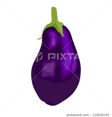Vector illustration of single eggplant vegetable cartoon flat style. Eggplant isolated on white background. Organic natural food concept designed in purple of violet color. Solanum melongena vegetable 128836345