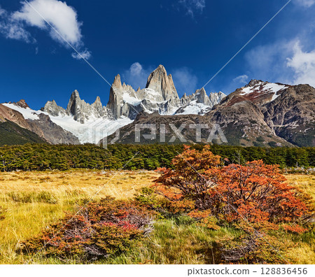 Mount Fitz Roy in Los Glaciares National Park, Argentina Mount Fitz Roy in Los Glaciares National Park, Argentina 128836456