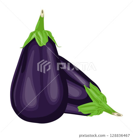 Vector illustration of single eggplant vegetable cartoon flat style. Eggplant isolated on white background. Organic natural food concept designed in purple of violet color. Solanum melongena vegetable 128836467