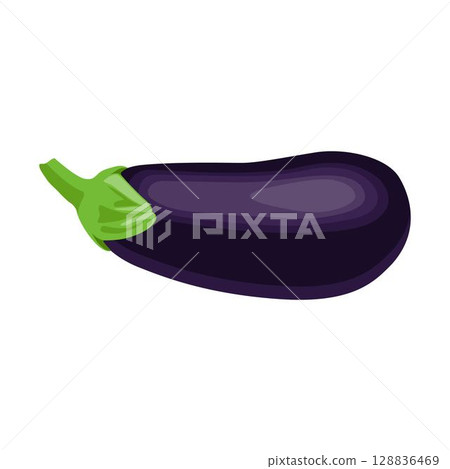 Vector illustration of single eggplant vegetable cartoon flat style. Eggplant isolated on white background. Organic natural food concept designed in purple of violet color. Solanum melongena vegetable Vector illustration of single eggplant vegetable cartoon flat style. Eggplant isolated on white background. Organic natural food concept designed in purple of violet color. Solanum melongena vegetable 128836469