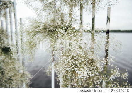 Luxury wedding photo zone with day lights Luxury wedding photo zone with day lights 128837048