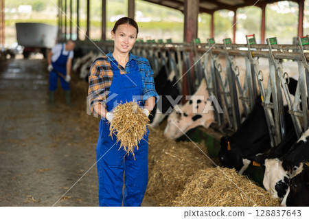 Adult woman feeding cows hay on farm Adult woman feeding cows hay on farm 128837643