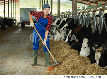 Young girl farmer working on dairy farm in cowshed, feeding cows 128837810