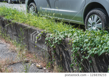 Monthly parking lot overgrown with weeds Monthly parking lot overgrown with weeds 128839233