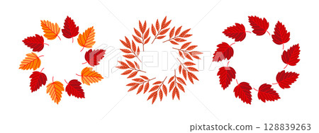 Three beautiful wreaths of vibrant red leaves on a white background 128839263
