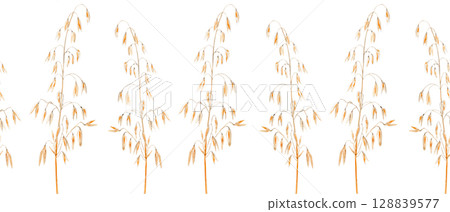 Oat stalks. Hand-painted seamless watercolor border on white background. Perfect for eco-friendly packaging, farm-themed branding, rustic wedding invitations, or organic cereal label designs 128839577