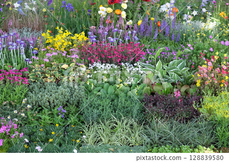 Flowers exposed on Floraart, 51 international garden exhibition in Zagreb 128839580