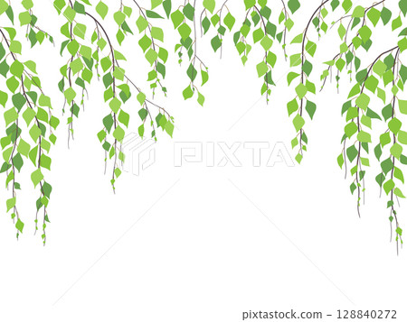 Vector Background with Green Weeping Birch Branches. Vector Background with Green Weeping Birch Branches. 128840272