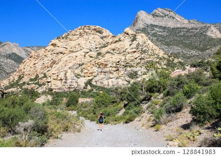 Hiking Through Rocky Terrain Under Clear Blue Skies in the Mountains 128841983