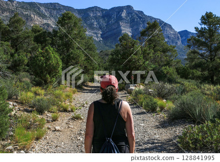 Hiker Exploring a Scenic Trail Surrounded by Mountains and Trees Hiker Exploring a Scenic Trail Surrounded by Mountains and Trees 128841995