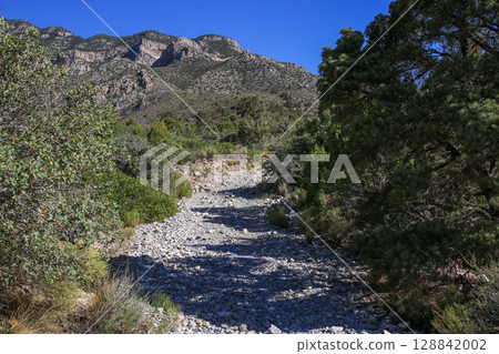 Rocky Hiking Path Leading Through Lush Greenery in Mountainous Terrain 128842002