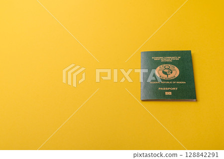 Nigerian International Citizen Passport for global business Nigerian International Citizen Passport for global business 128842291